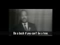 If You Can T Fly Then Run Martin Luther King Jr If You Can T Fly Then Run Martin Luther King Jr