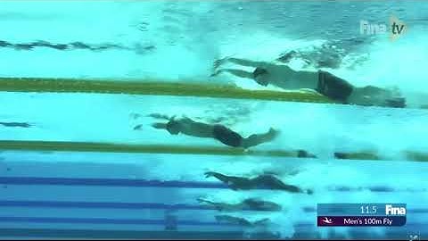 Caeleb Dressel - 100 Fly World Record - Underwater Slo Motion Video