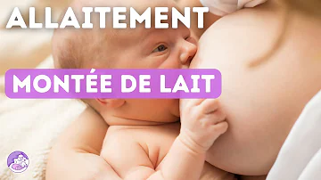 Quand arrive la première montée de lait ?