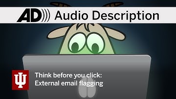 Think before you click: External email flagging (Audio Description)