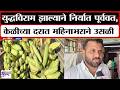 Jalgoan Banana Price Hike : युद्धविराम झाल्याने निर्यात पूर्ववत, केळीच्या दरात महिनाभराने उसळी |News