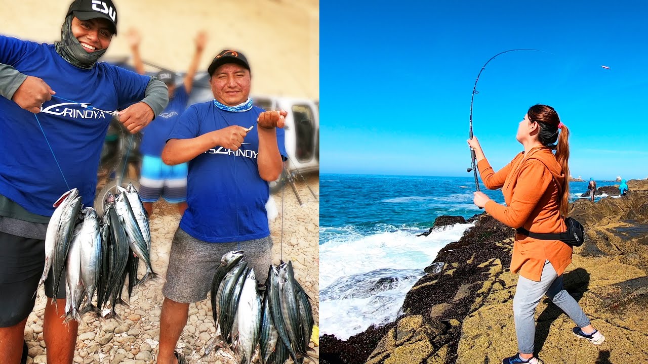 Recomendaciones de señuelos para pesca desde playa y desde piedras Surf  fishing y rock Fishing