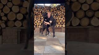 Köpeğim Boro Ile Kara Panter Akımı Şfet