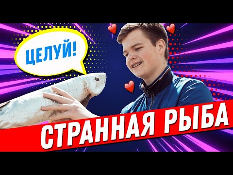 ДЕТСКИЙ ФИЛЬМ 'СТРАННАЯ РЫБКА'.Короткометражка с тремя разными концовками.