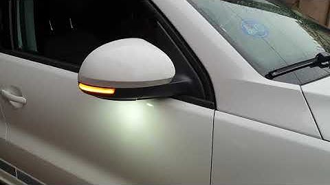 VW Tiguan Dynamic Mirror signal turn