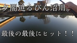 【短め動画】２連続でボウズ中…３度目の正直なるか！？【びん沼川】