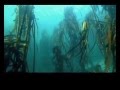 SharkSafe Barrier Part 2