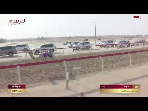 ش16 شرده ل محمد ناصر سعيد الكتبي مهرجان البيت متوحد 28 9 2023ص بكار صعوب مفتوح 4 26 0