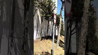 Esse É Um Dos Bairros Mais Perfeitos De Curitiba