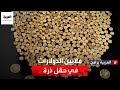 العثور على عملات ذهبية بملايين الدولارات في أغرب مكان بأميركا فما القصة العثور على عملات ذهبية بملايين الدولارات في أغرب مكان بأميركا فما القصة