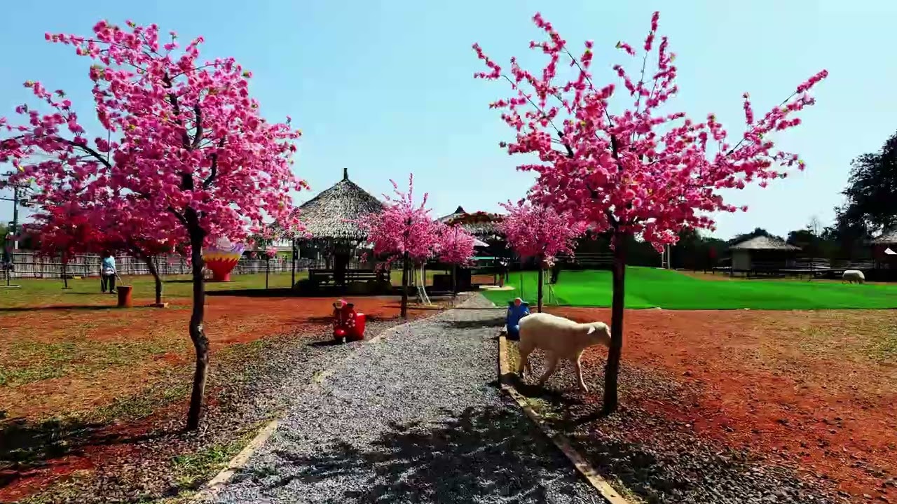 สวนดอกไม้