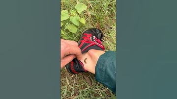 Đi câu đã móm lại còn bị đĩa nó đeo bám|câu cá lóc.! #caucaloc #cauca #fishing #caulure