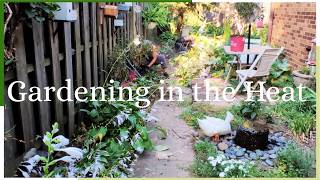 Gardening in the Heat