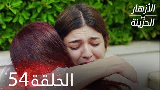 الأزهار الحزينة | الحلقة 54 كاملة | Kırgın Çiçekler