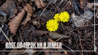 ВЛОГ: ПОДАРОК НА 8 МАРТА