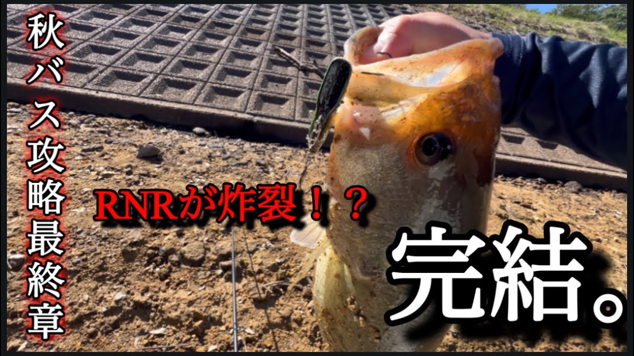 【bass fishing】秋バス攻略最終章Part2〜最後の最後にまさかの爆釣！？編〜