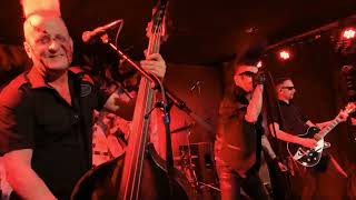 Demented Are Go    Goldmarks Stuttgart 27032026