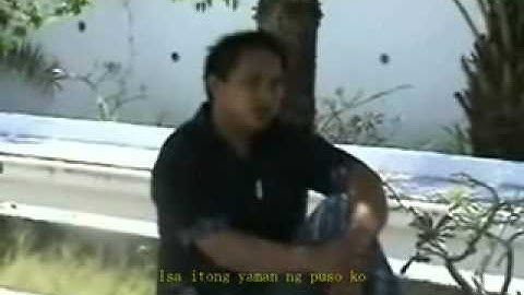 funny PLT mUsicVideo 2010