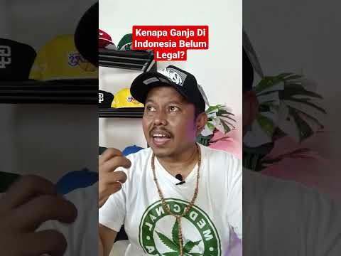 Video: Kapan warga Arizona bisa mulai merokok ganja?