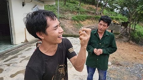 Pây hầu và Điếc công tử đồi thông đã di chuyển chuồng trâu. Nguyễn Tất Thắng