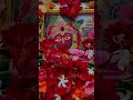 Maa Tareni 🌺🙏🏻 #cuttack #bhubaneswara #love #song #trading