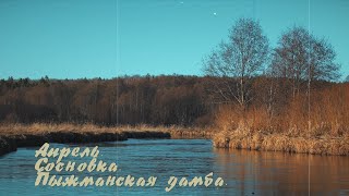 АПРЕЛЬ. СОСНОВКА. ПЫЖМАНСКАЯ ДАМБА.