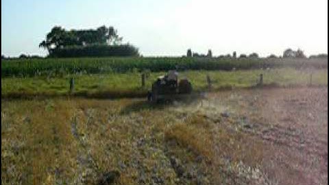Fiat 312R