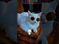 #cat aura moment #funny #ZXTROLLFACEFF