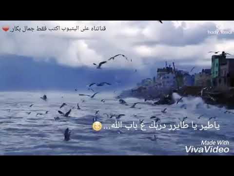 يا طير يا طاير ودي سلامي عل الرقة
