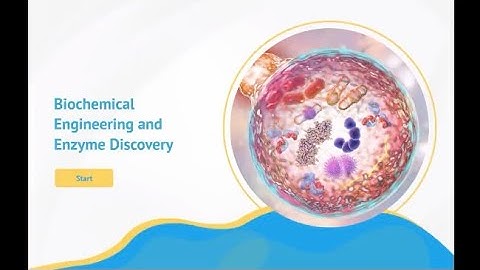Enzyme Engineering And Biotechnology: Biochemical Development