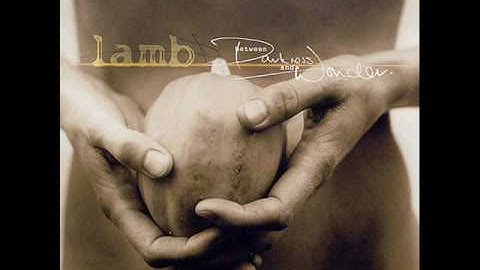 Lamb Angelica