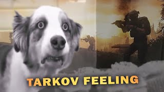 Everyone's Reactions When Playing Tarkov #2