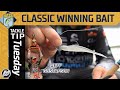 Jeff gustafson won the 2023 bassmaster classic with this technique
