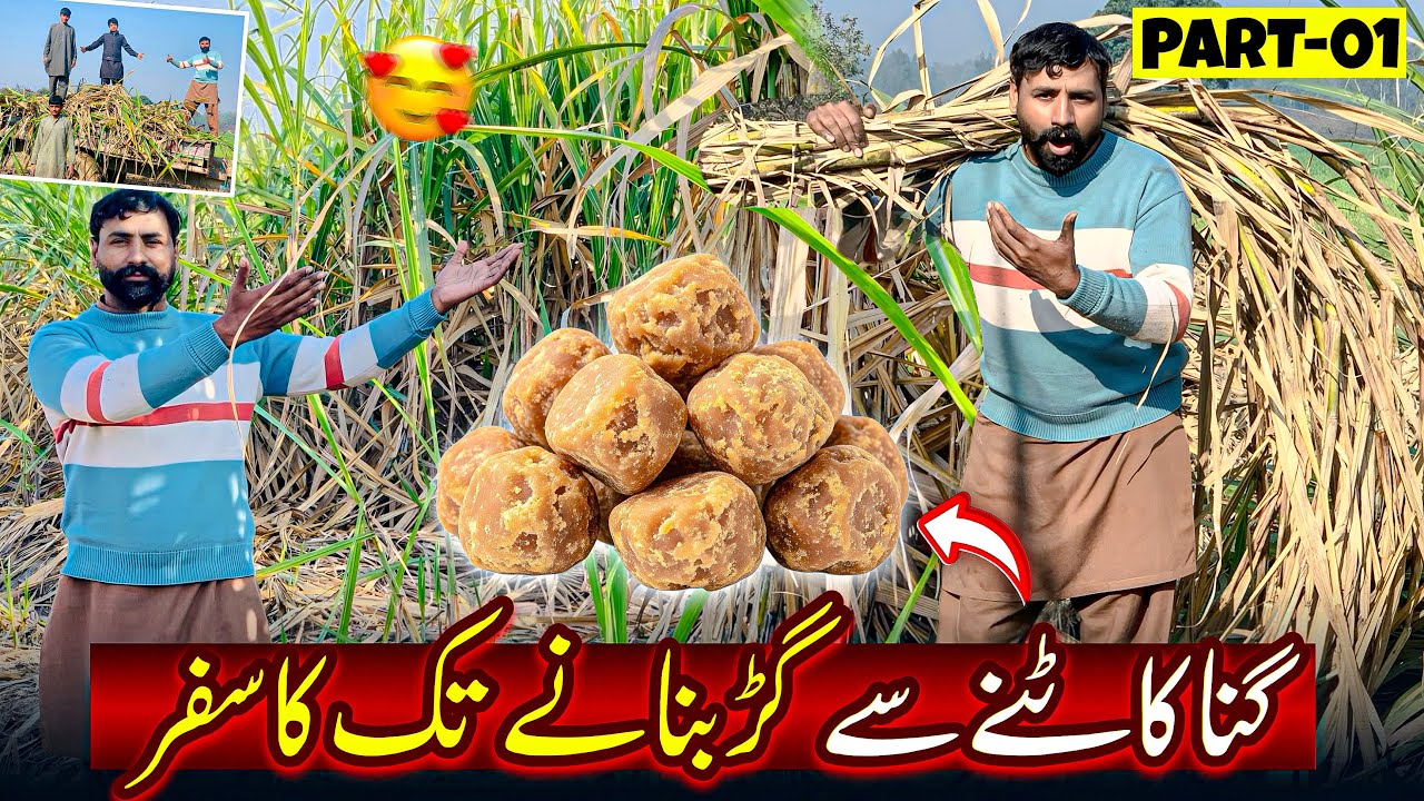 Desi Style Gur Making _ Pure Village Vibes🎋 | Traditional Gur Making | Ansar Desi Vlog