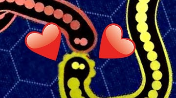 🐍Extraordinary Gulping🐍 | Gulper.io