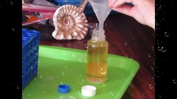 The Little Lab Coats