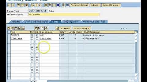 SAP ABAP   Secondary Index Vimbue avi