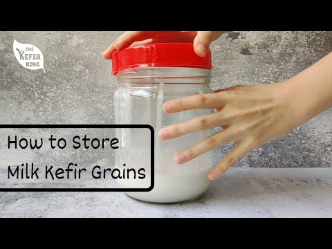 How to Store Milk Kefir Grains - Break from Brewing