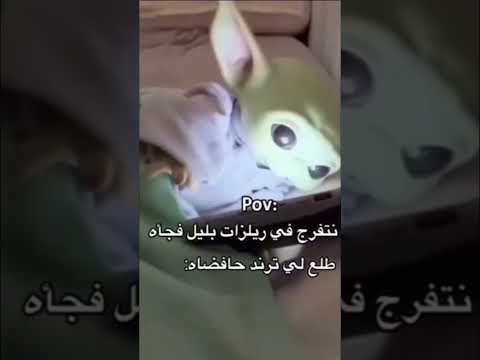 سول اكسبلور لايك ترند اهميه فولو الشعب الصيني ماله حل ضحك تحشيش