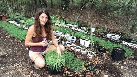 Field Notes: Winter Cover Crop Update