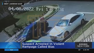 Suspect arrested in violent N.J. rampage