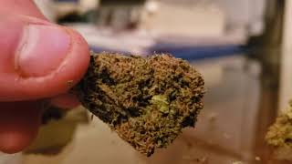 Remedy CBD flower Hemp Review and Vibe rolling paper with filter tips review