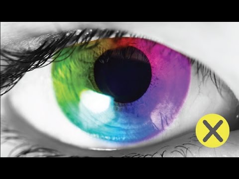 Video: Psicología Del Color En El Interior: Características De Las Tonalidades. Efecto En La Psique Humana De Lila Y Blanco, Verde Y Amarillo, Azul Y Otros Tonos