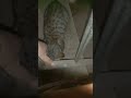 A cat loved my mother 🐈‍⬛😻☁️🦋and Merry ⛄🎄⛄⛄🎄