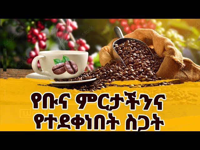 የቡና ምርታችንና የተደቀነበት ስጋት || Ethio FM 107.8