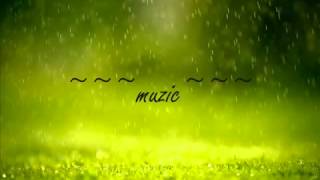 Allah Waariyan  (Lyrics) Full Song