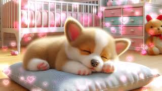 🐾Sunny puppy✨Soft music for sleep and relaxing