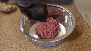 Raw Dog Food - It Shouldnt Be This Complicated...
