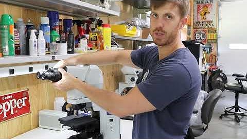 The Difference Between Olympus Microscope BX Heads