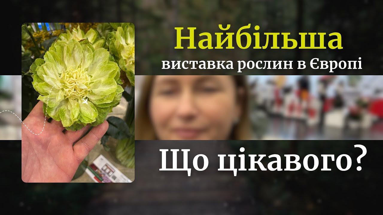 Виставка декоративних рослин, плодових, флористики, декору для саду та інтерʼєру, техніки та насіння